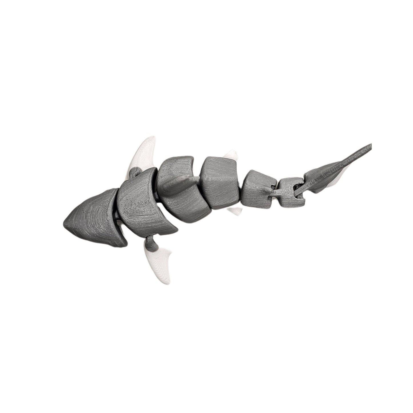 Great White shark