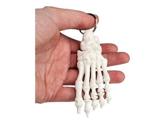 Skeleton Foot